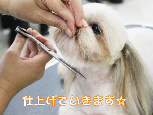 ２年生に向けて！先生の試技会♪②